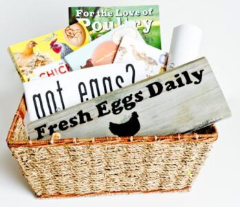 Storey Publishing Chicken Basket Giveaway! Image